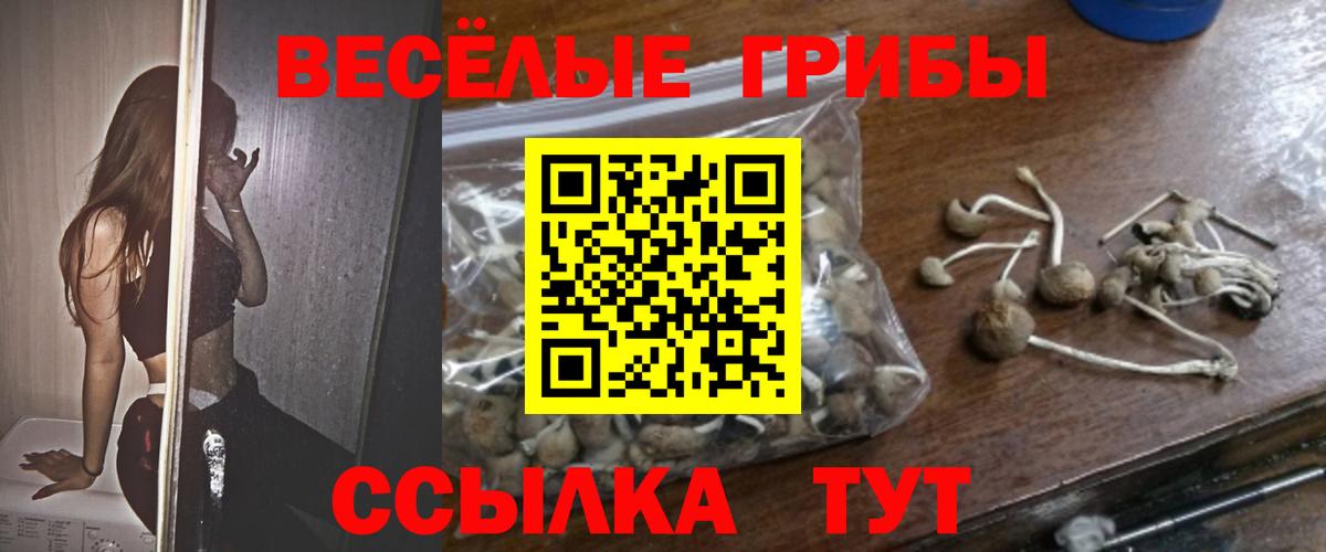 Псилоцибиновые грибы Magic Shrooms  Вход с VPN  Шадринск 