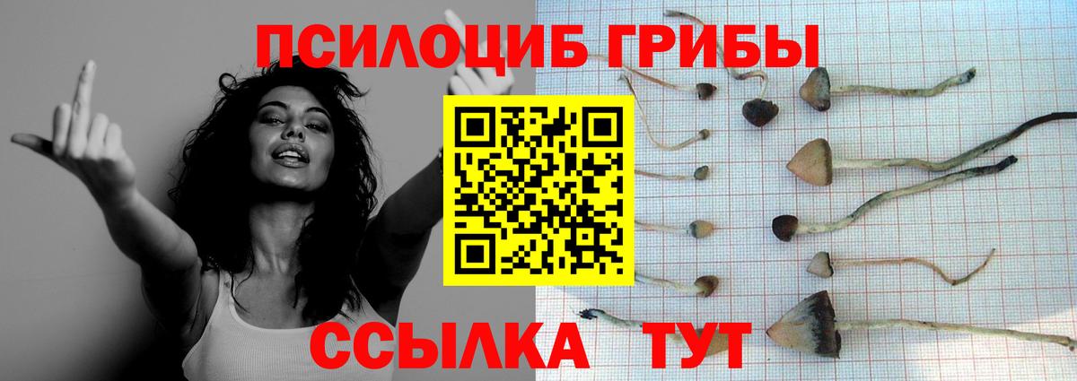 Галлюциногенные грибы ЛСД Шадринск